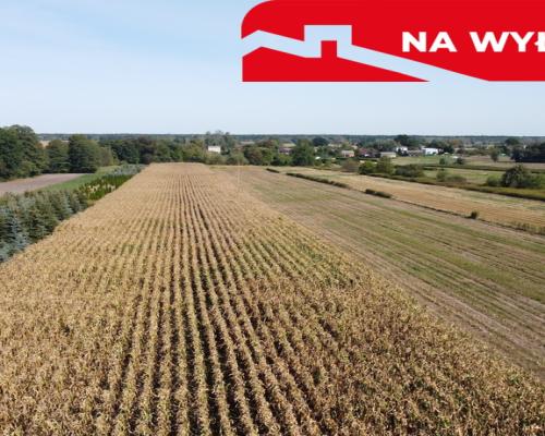 Działka budowlana 0.55 ha Sielce gm. Końskowola