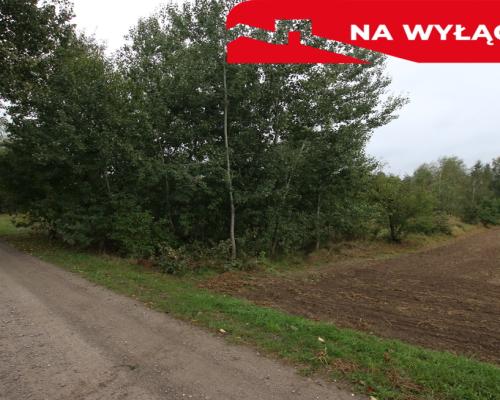 Działka budowlana ok.20 ar Gołąb g. Michów