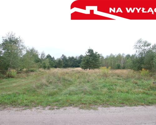 Działka budowlana ok.20 ar Gołąb g. Michów