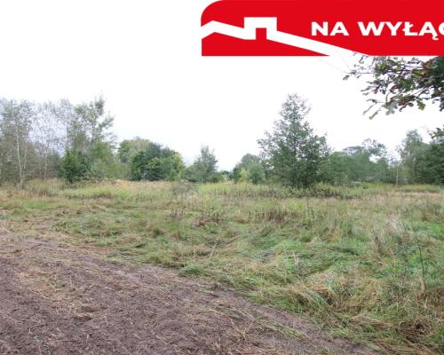 Działka budowlana ok.20 ar Gołąb g. Michów