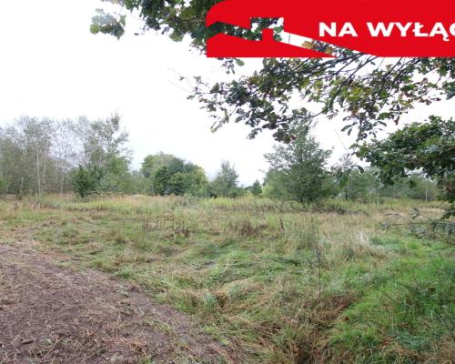 Działka budowlana ok.20 ar Gołąb g. Michów