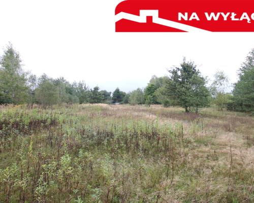 Działka budowlana ok.20 ar Gołąb g. Michów