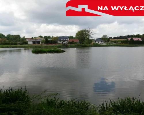 Działka o pow. 4,6 ha w Klementowicach gm. Kurów.