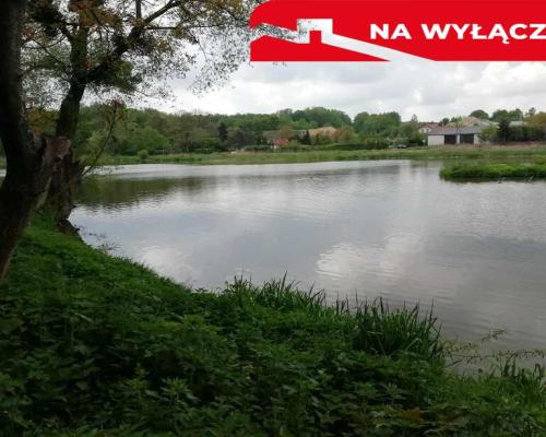 Działka o pow. 4,6 ha w Klementowicach gm. Kurów.