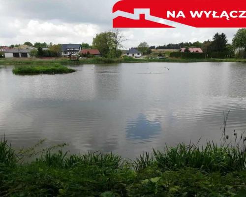 Działka o pow. 4,6 ha w Klementowicach gm. Kurów.