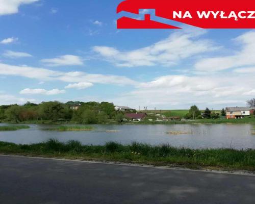 Działka o pow. 4,6 ha w Klementowicach gm. Kurów.