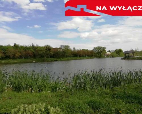 Działka o pow. 4,6 ha w Klementowicach gm. Kurów.