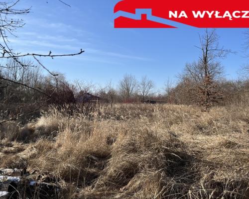 Działka budowlana 4587 m2 we Wsoli koło Radomia.