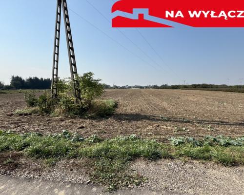 Działka rolno-budowlana 0,31 ha w Gołębiu k/Puław.