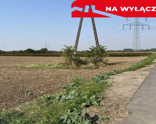 Działka rolno-budowlana 0,31 ha w Gołębiu k/Puław.