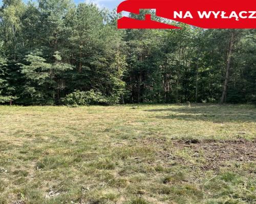 Działka budowla 3117 m2 w Kowali gm. Puławy.