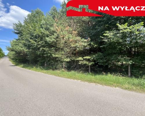 Działka budowla 3117 m2 w Kowali gm. Puławy.