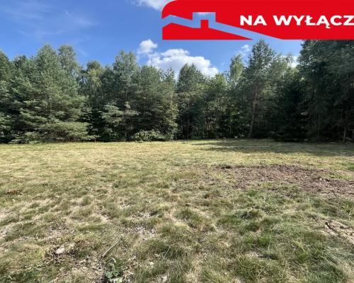 Działka budowla 3117 m2 w Kowali gm. Puławy.