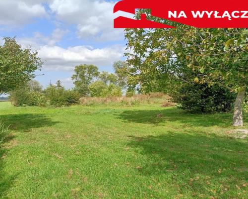 Działka 4017 m2 budowlana Leokadiów gm. Puławy.