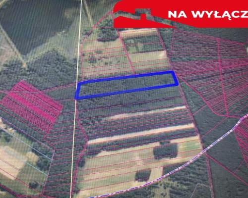 Działka leśna 3,90 ha w Brodach  gm. Pierzchnica.