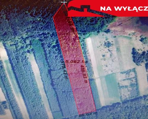 Działka leśna 3,90 ha w Brodach  gm. Pierzchnica.