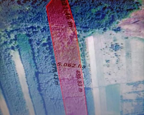 Działka leśna 3,90 ha w Brodach  gm. Pierzchnica.