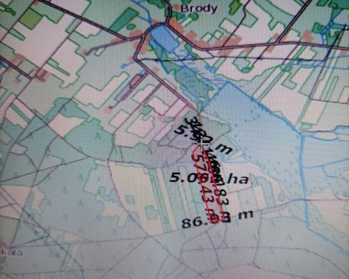 Działka leśna 3,90 ha w Brodach  gm. Pierzchnica.