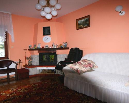 Dom 264 m2, Nałęczów