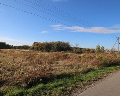 Działka budowlana 15 ar Kozioł g. Baranów