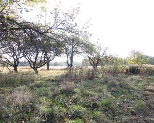 Działka budowlana 15 ar Kozioł g. Baranów