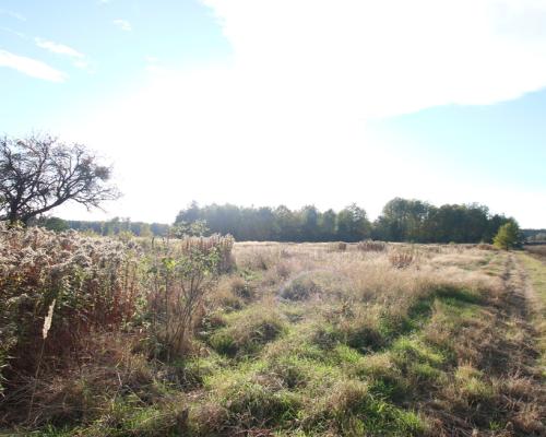 Działka budowlana 15 ar Kozioł g. Baranów