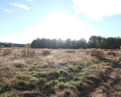 Działka budowlana 15 ar Kozioł g. Baranów