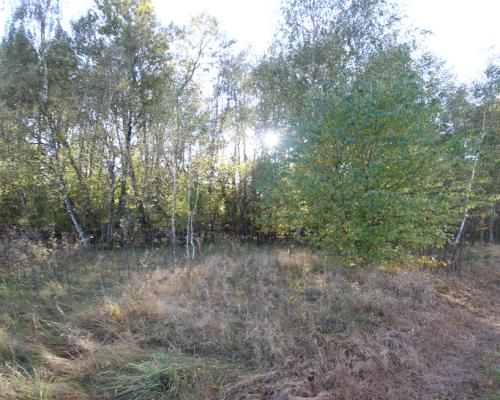 Działka budowlana 15 ar Kozioł g. Baranów