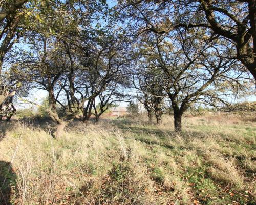 Działka budowlana 15 ar Kozioł g. Baranów