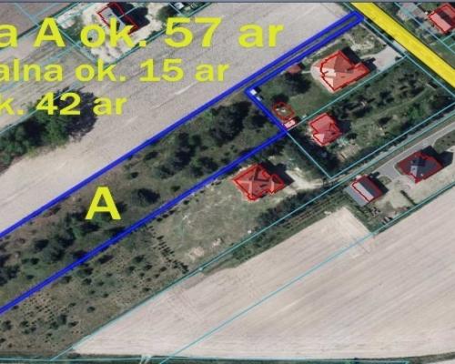 Duża działka 0,6 ha leśno-budowlana Wola Lisowska