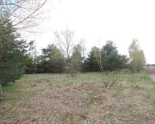 Duża działka 0,6 ha leśno-budowlana Wola Lisowska