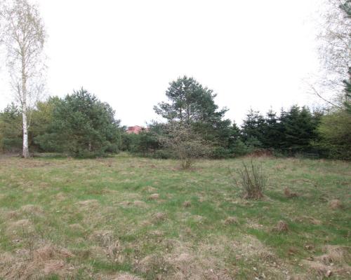 Duża działka 0,6 ha leśno-budowlana Wola Lisowska