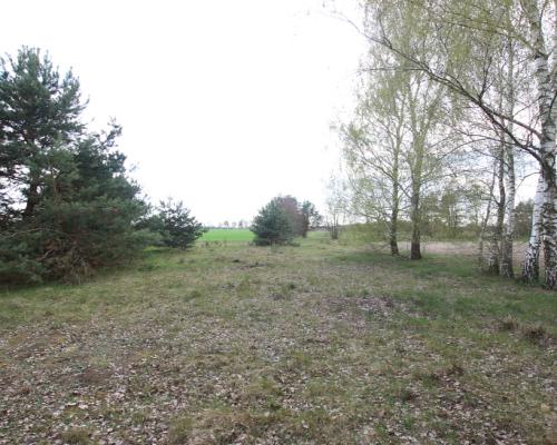 Duża działka 0,6 ha leśno-budowlana Wola Lisowska