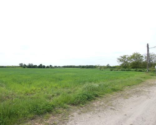 Działka rolno-budowalana Brzostówka g. Serniki 50a