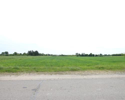 Działka rolno-budowalana Brzostówka g. Serniki 50a