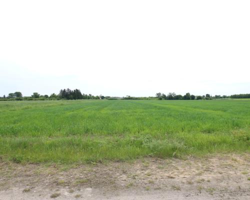 Działka rolno-budowalana Brzostówka g. Serniki 50a