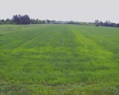 Działka rolno-budowalana Brzostówka g. Serniki 50a