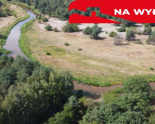 Działka letniskowa 800 m2 w Woli Chodkowskiej.