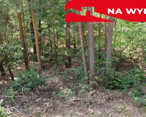 Działka letniskowa 800 m2 w Woli Chodkowskiej.