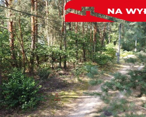 Działka letniskowa 800 m2 w Woli Chodkowskiej.