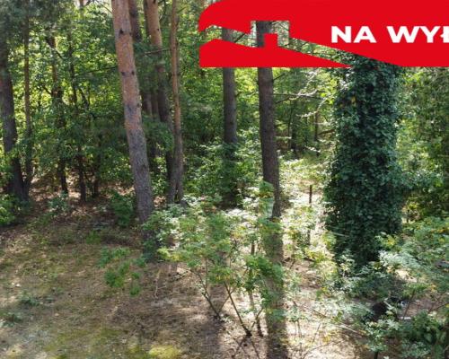 Działka letniskowa 800 m2 w Woli Chodkowskiej.