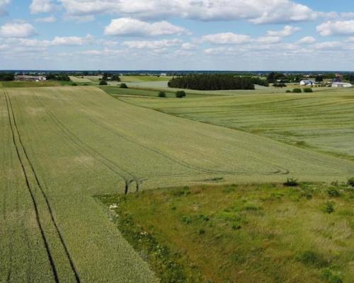 Snopków, 2ha,zmiana MPZP w trakcie