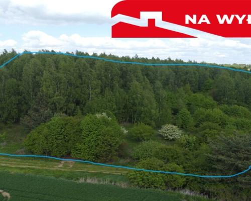 Działka 2,15 ha z potencjałem koło Nałęczowa.