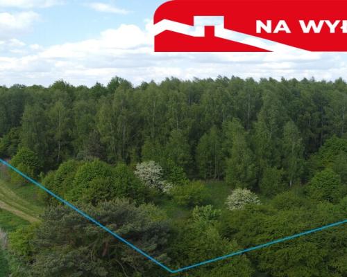 Działka 2,15 ha z potencjałem koło Nałęczowa.