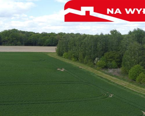 Działka 2,15 ha z potencjałem koło Nałęczowa.