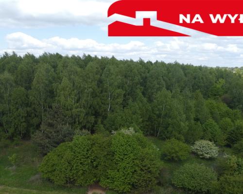 Działka 2,15 ha z potencjałem koło Nałęczowa.