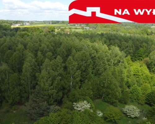 Działka 2,15 ha z potencjałem koło Nałęczowa.