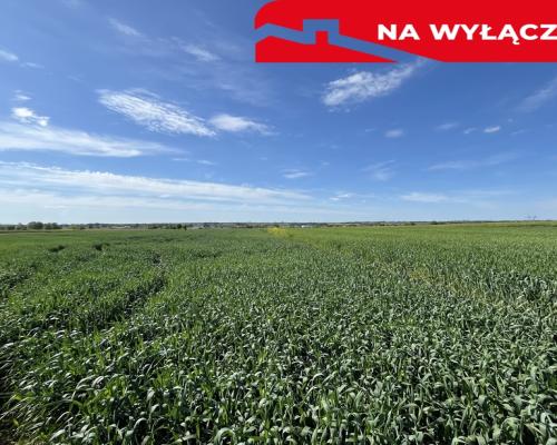 Działka 0,82ha U/MN Wólka gm. Długie pod Lublinem.