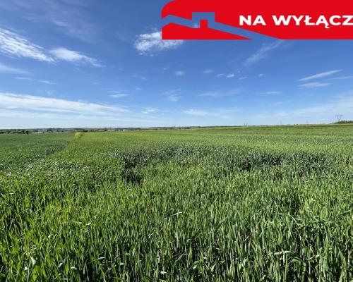 Działka 0,82ha U/MN Wólka gm. Długie pod Lublinem.