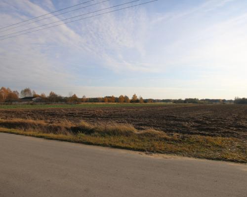 Działka rolno budowlana 65ar Sobolew Kol g. Firlej